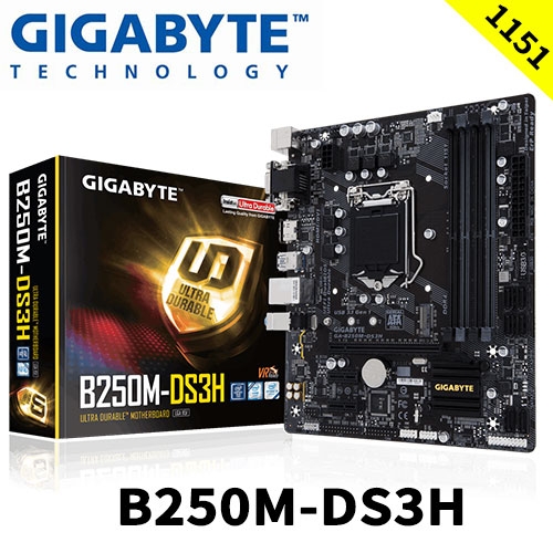 技嘉 B250M-DS3H M-ATX/B250/4*DDR4/M.2/1A1D1H